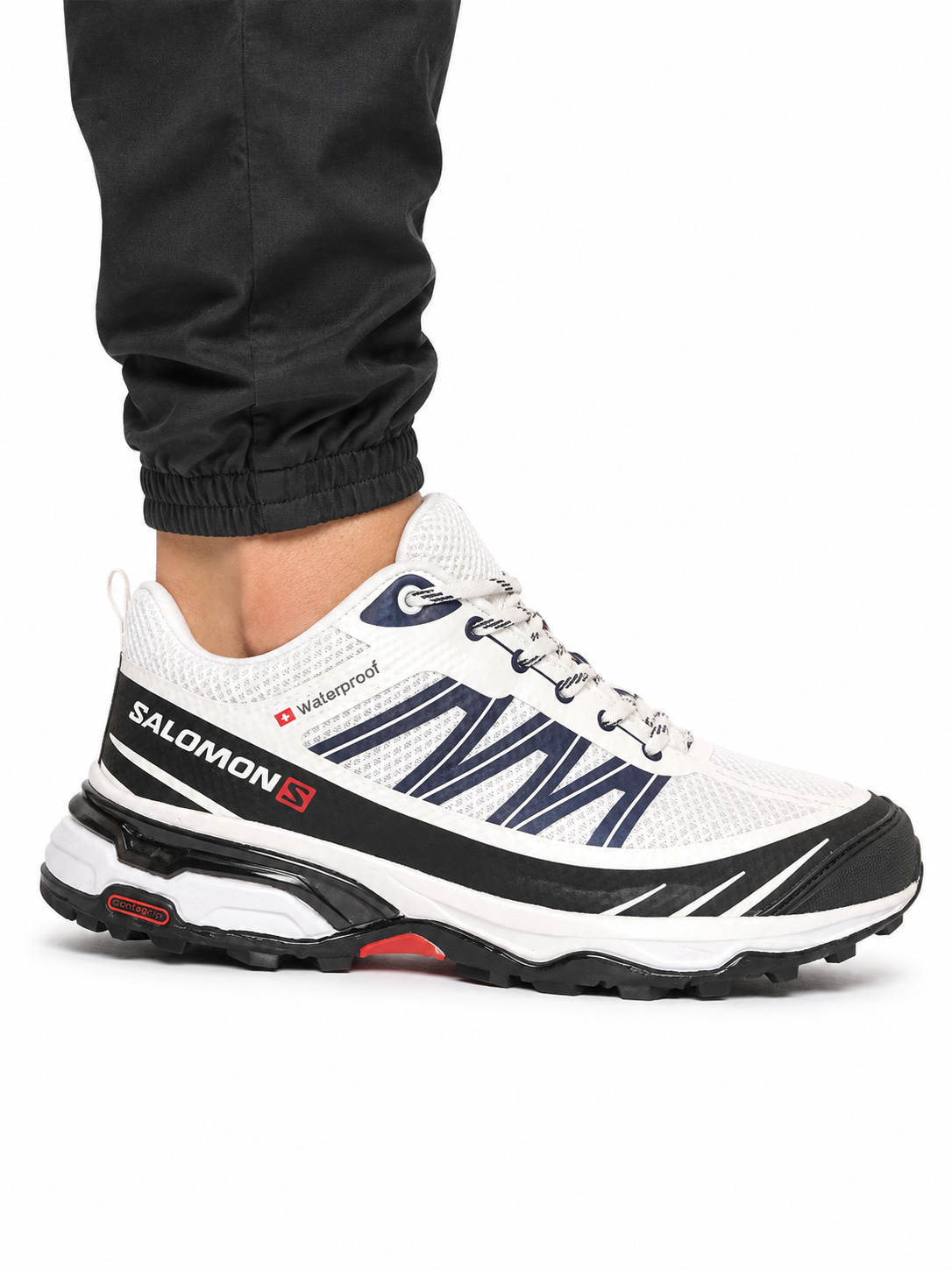 سالامون سفید (کیفیت عالی )