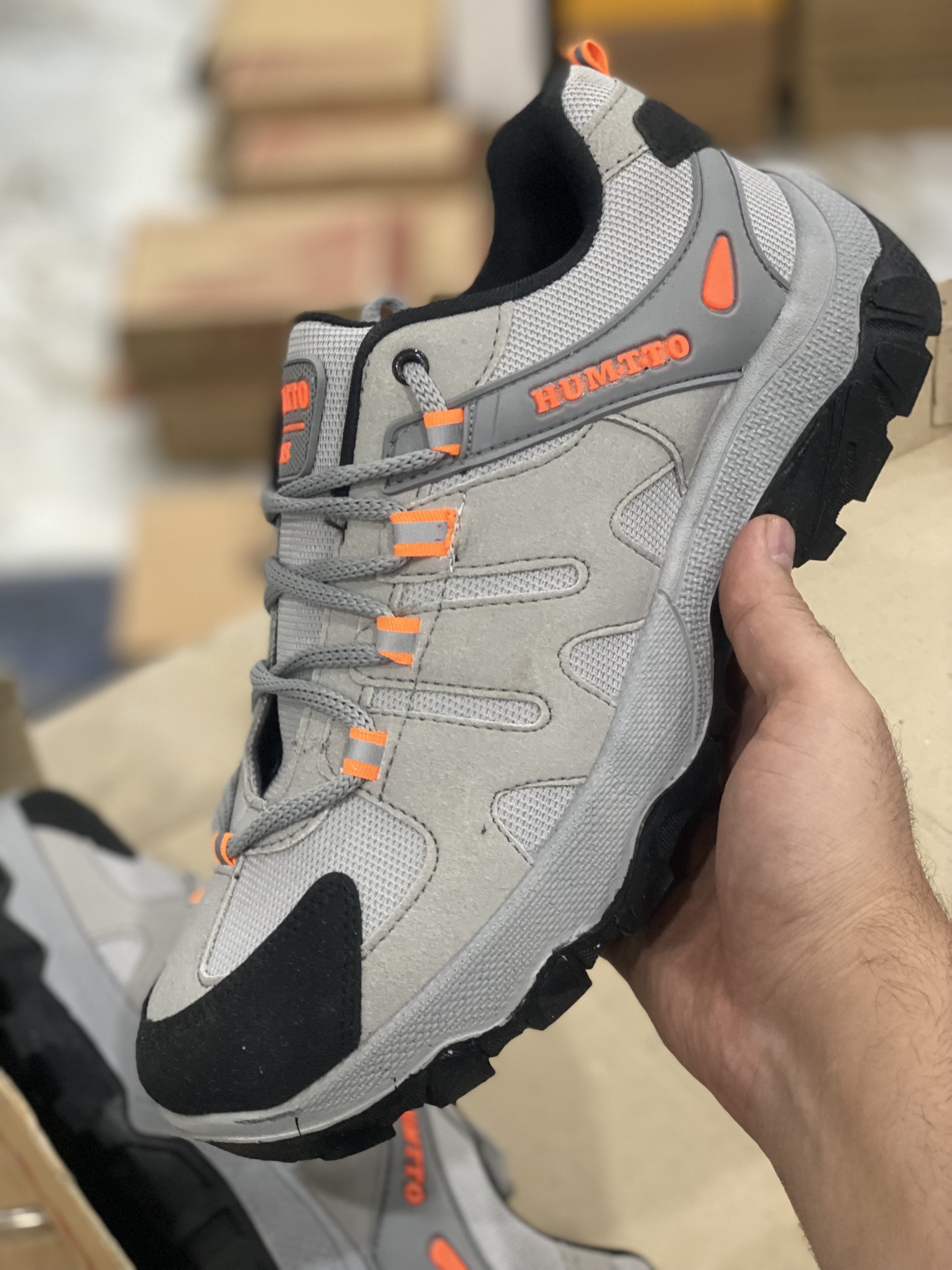 هومتو طوسی روشن